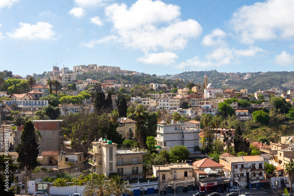Algiers, Alger, Algeria : Panoramic view of the northern districts. Houses, mosque, green hill.