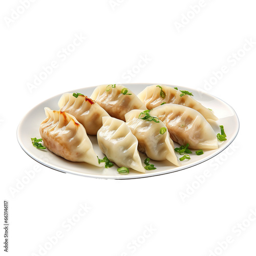 Meat dumpling on a white background isolated PNG