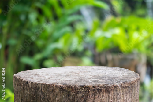 Empty old tree stump table top with blur green tropical garden background for product display