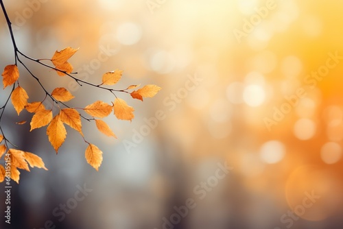 Close up of autumn leaves against autumn nature landscape background 
