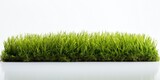 Isolated grass carpet on white with space for text, AI Generative