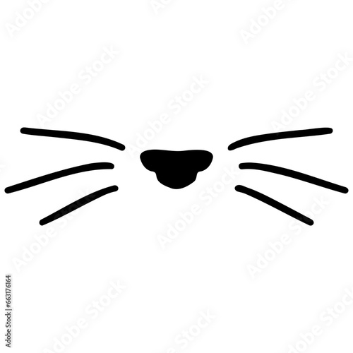 Cat Nose and Whiskers photo
