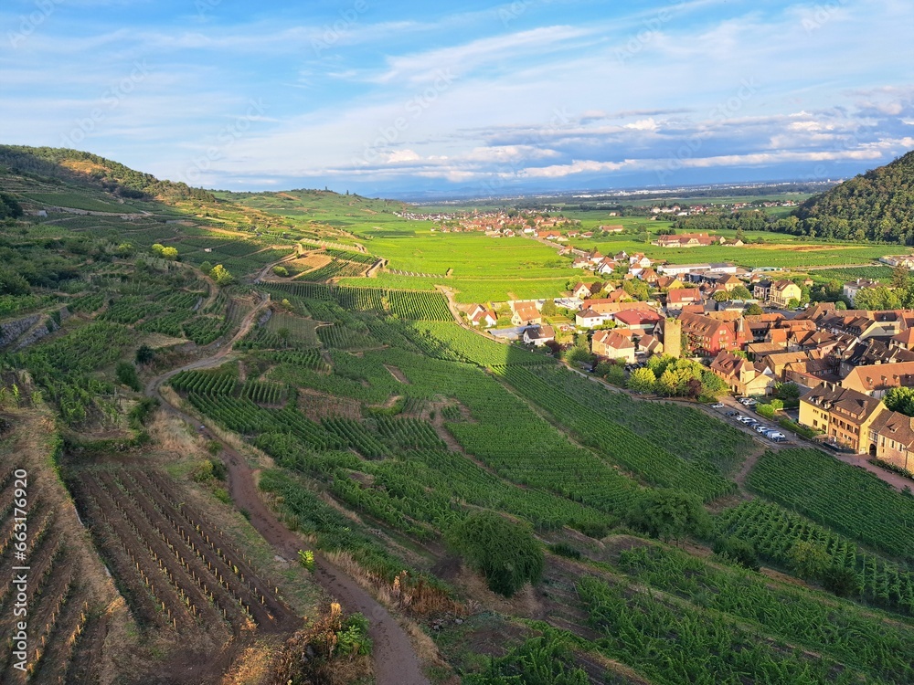 Scenic view of vineyards on a hill near a small town on at sunset