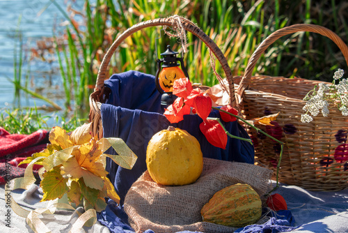 Pumpkins with fesalis in a wicker basket. Autumn decor for Halloween or Thanksgiving in nature photo