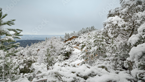Route des Roches Blanches Sous la Neige, Var, France