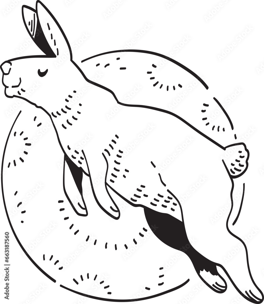 rabbit illustrano rabbit illustrano