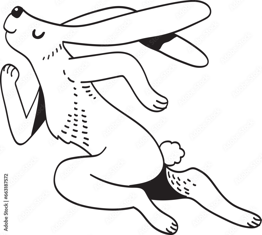 Fototapeta premium rabbit illustrano