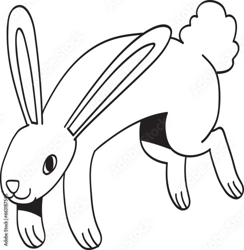 rabbit illustrano photo