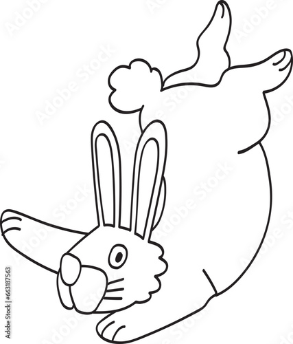 rabbit illustrano photo