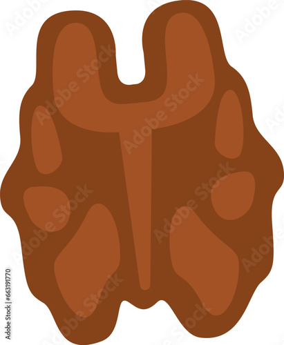 Walnut Nut Icon
