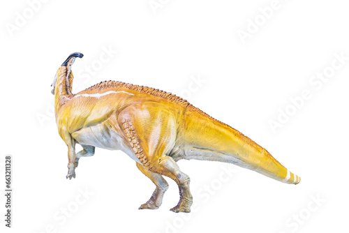 Parasaurolophus  dinosaur isolated background © meen_na