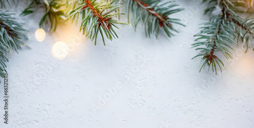 white christmas background with spruce frosty brunches and christmas lights  photo