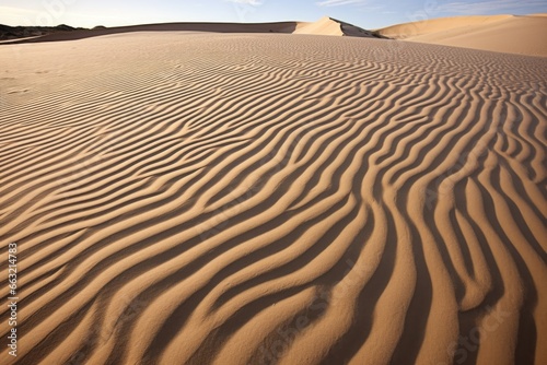 trailed patterns on the sand created by wind erosion