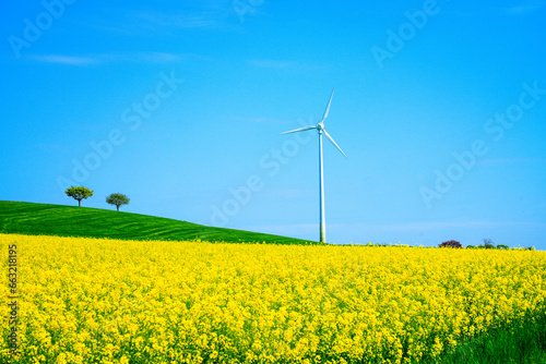 Wind turbine in a landscape with a blooming rapeseed field in the foreground.