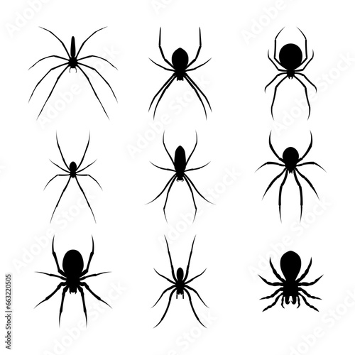Spider silhouette vector isolated on white background. © Maman