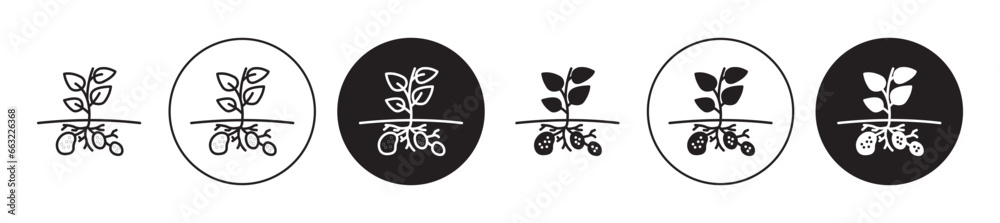 Potatoes plant vector icon set in black filled and outlined style. - obrazy, fototapety, plakaty 