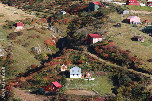Autumn colors in the mountains
Autumn and flock of sheep in the mountains