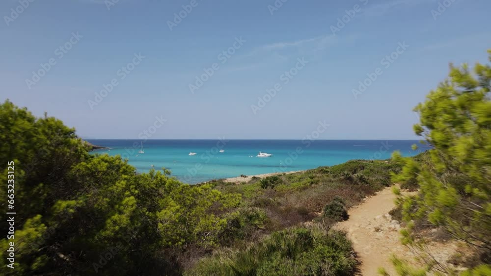 Drone flight through a tree to a sunny beach on Mallorca, where many people are lying and enjoying their holiday. Boats and yachts are in the bay on a sunny hot beach day. Drone flight through a tree to a sunny beach on Mallorca, where many people are lying and enjoying their holiday. Boats and yachts are in the bay on a sunny hot beach day.