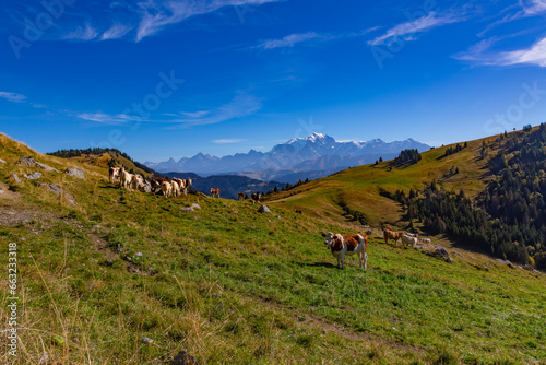 Paysages de la Route de la Soif, dans les Aravis, Savoie, France