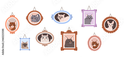 Wall with framed portraits of purebred cats, flat vector illustration isolated.