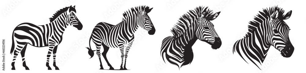 Zebra head, black and white vector, silhouette shapes illustration
