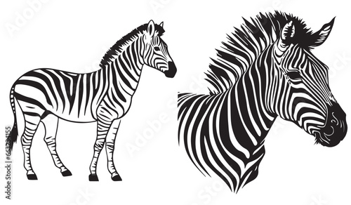 Zebra head  black and white vector  silhouette shapes illustration