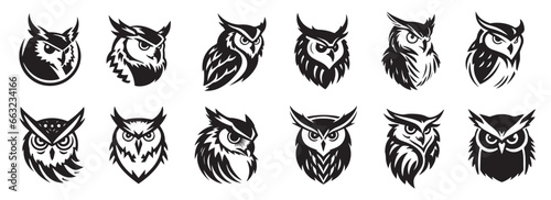 Owl head, black and white vector, silhouette shapes illustration photo