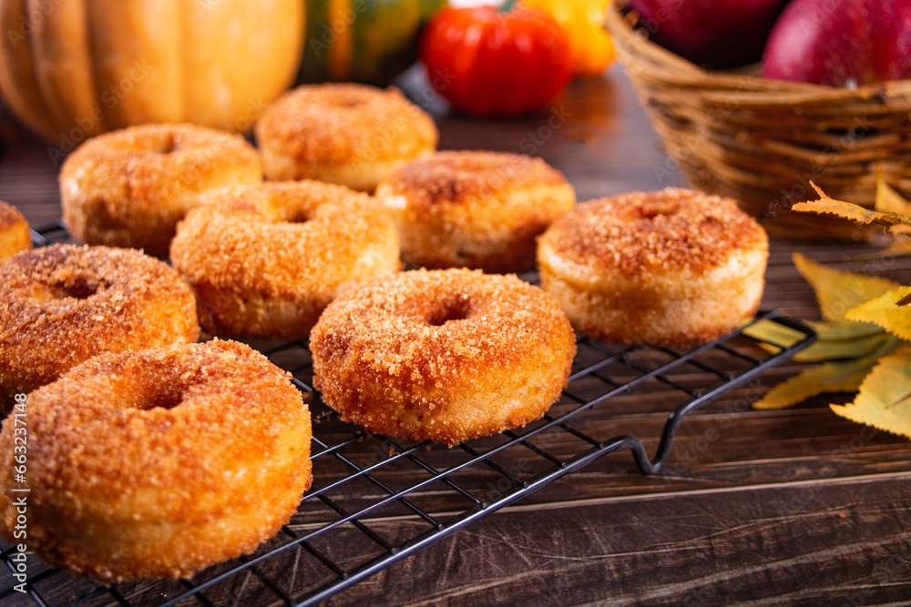 Sweet homemade apple cider donuts with cinnamon sugar on the baking rack. Autumn food.