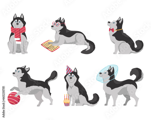 Set of cute and funny Siberian husky in different situations, flat vector illustration isolated on white background.