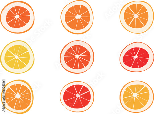 Citrus Slices - Lemon, Orange, Grapefruit, Blood Orange