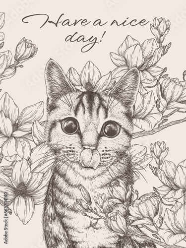 Vector illustration of a tabby cat surrounded by blooming magnolia in engraving style