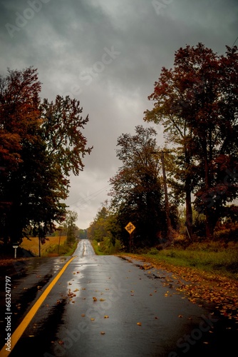 Rainy day road in autumn 