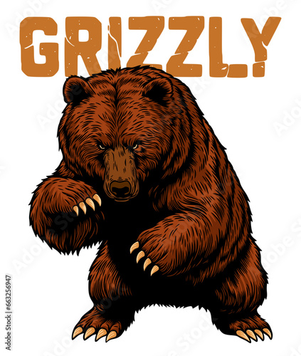 Grizzly bear vector illustration. Illustration of angry grizzly bear in detailed hand drawing style. Grizzly attack