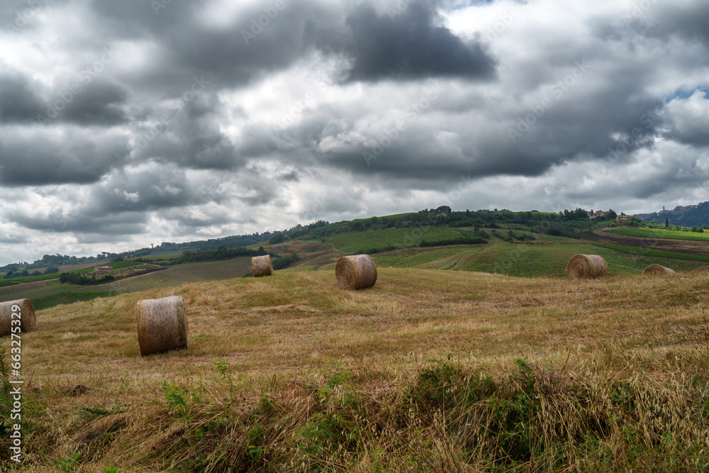 Rural landscape in Tuscany near Torrita di Siena