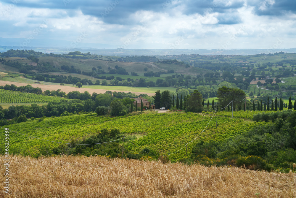 Rural landscape in Tuscany near Torrita di Siena