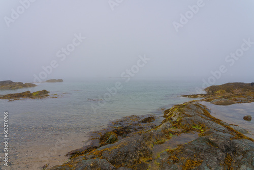 A foggy summer afternoon at the waters edge on Porthdinllaen beach at low tide. photo