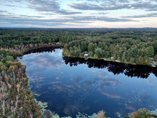 Tranquil lake surrounded by a lush forest beneath a bright blue sky