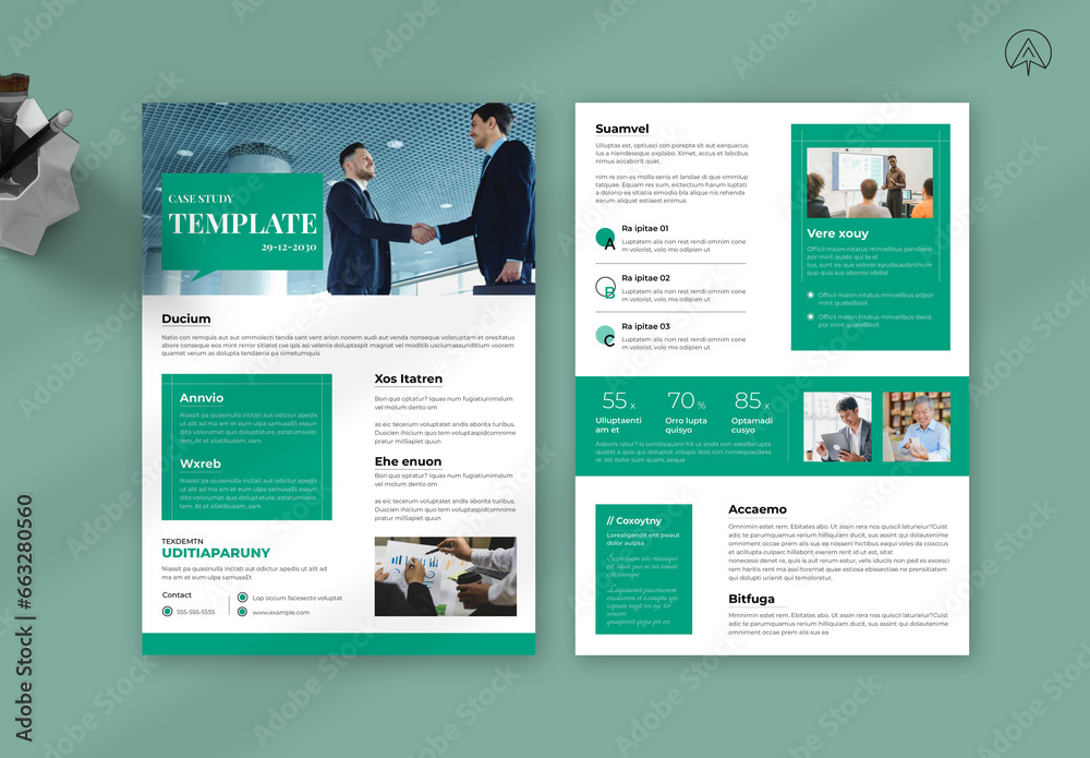Case Study Flyer Layout Stock Template | Adobe Stock