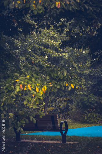 Bench in an urban parc at fall with green and yellow foliage. Blue ground painted