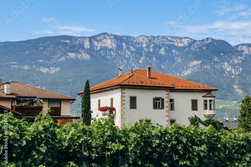 Pinot Noir Trail - the wine and culture trail is located in the famous Pinot Noir area, on the edge of the Monte Corno Nature Park