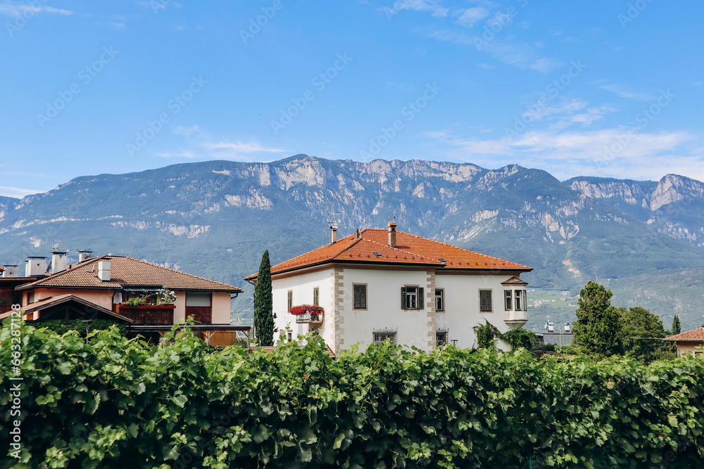 Pinot Noir Trail - the wine and culture trail is located in the famous Pinot Noir area, on the edge of the Monte Corno Nature Park Pinot Noir Trail - the wine and culture trail is located in the famous Pinot Noir area, on the edge of the Monte Corno Nature Park
