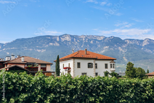 Pinot Noir Trail - the wine and culture trail is located in the famous Pinot Noir area, on the edge of the Monte Corno Nature Park