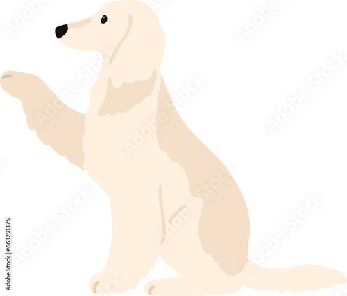 Illustration of Afghan Hound shaking hands