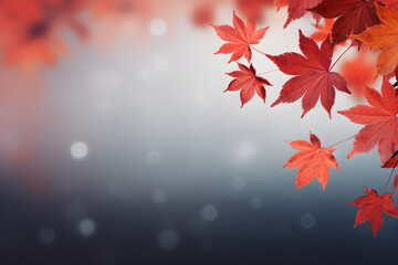 Autumn background bokeh with maple leaves at border