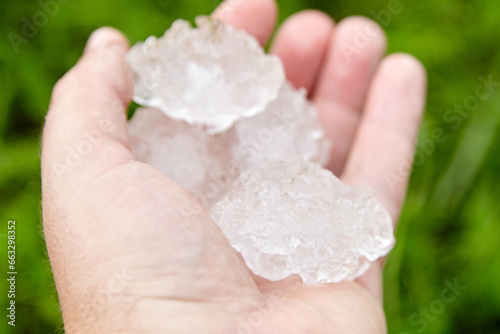 Hail in hand after hailstorm. Large hails closeup