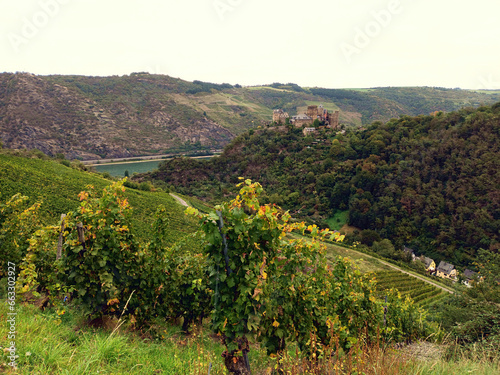 Blick durch Weinberge auf die Burg Schönburg bei Oberwesel am Rhein. Die Stadt im UNESO Welterbe Oberes Mittelrheintal, Rheinland-Pfalz. Aussicht vom Wanderweg Traumschleife Schwede Bure. photo