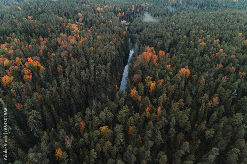 Aerial view of Ahja river running through colourful forest in autumn, Polvamaa, Estonia. photo