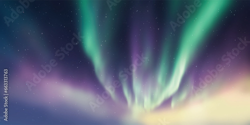 Polar lights, starry sky. Northern landscapes. Vector illustration.