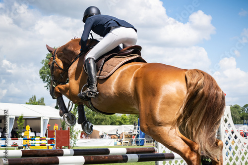 Equestrian Sports photo-themed: Horse jumping, Show Jumping, Horse riding.
