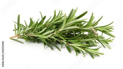 Fragrant rosemary leaves. Culinary excellence  aromatic infusion  flavor balance  versatile herb. Generated by AI